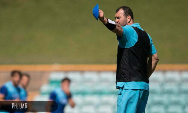 Cheika se hará cargo de Los Pumas