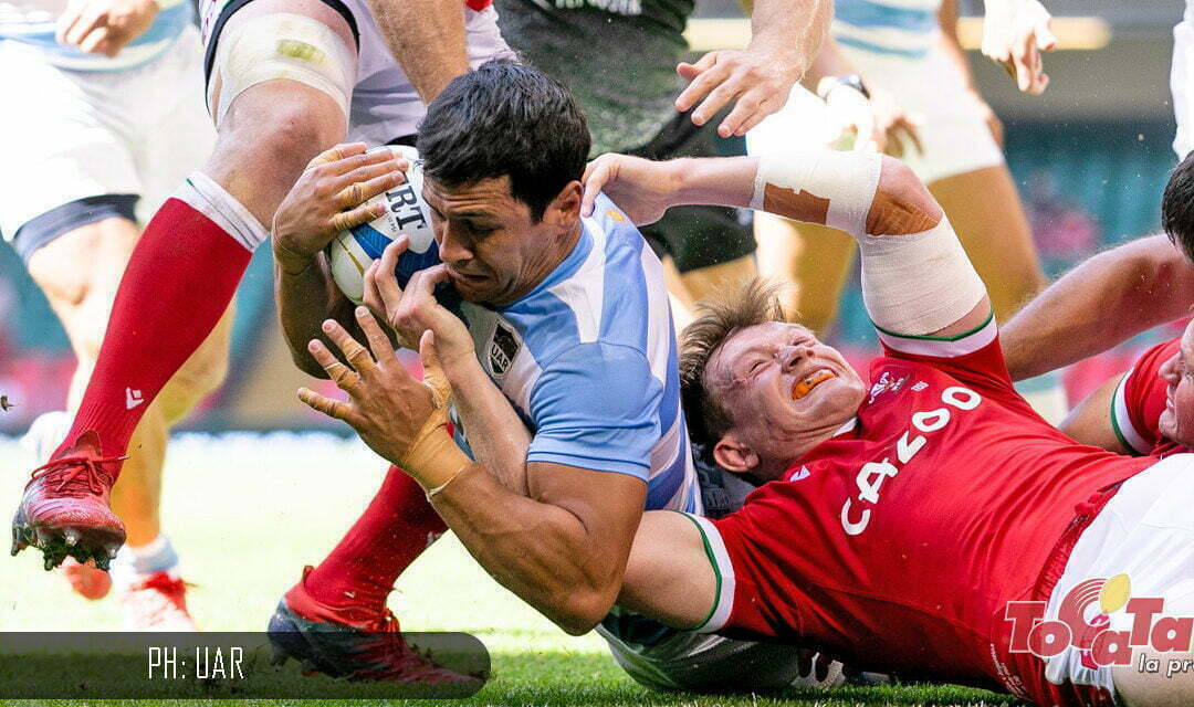 Los Pumas y Gales jugarán en noviembre