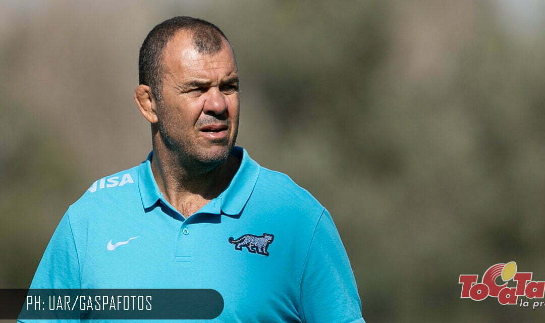 Cheika quiere constancia para así mejorar